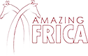 Amazing Africa Logo